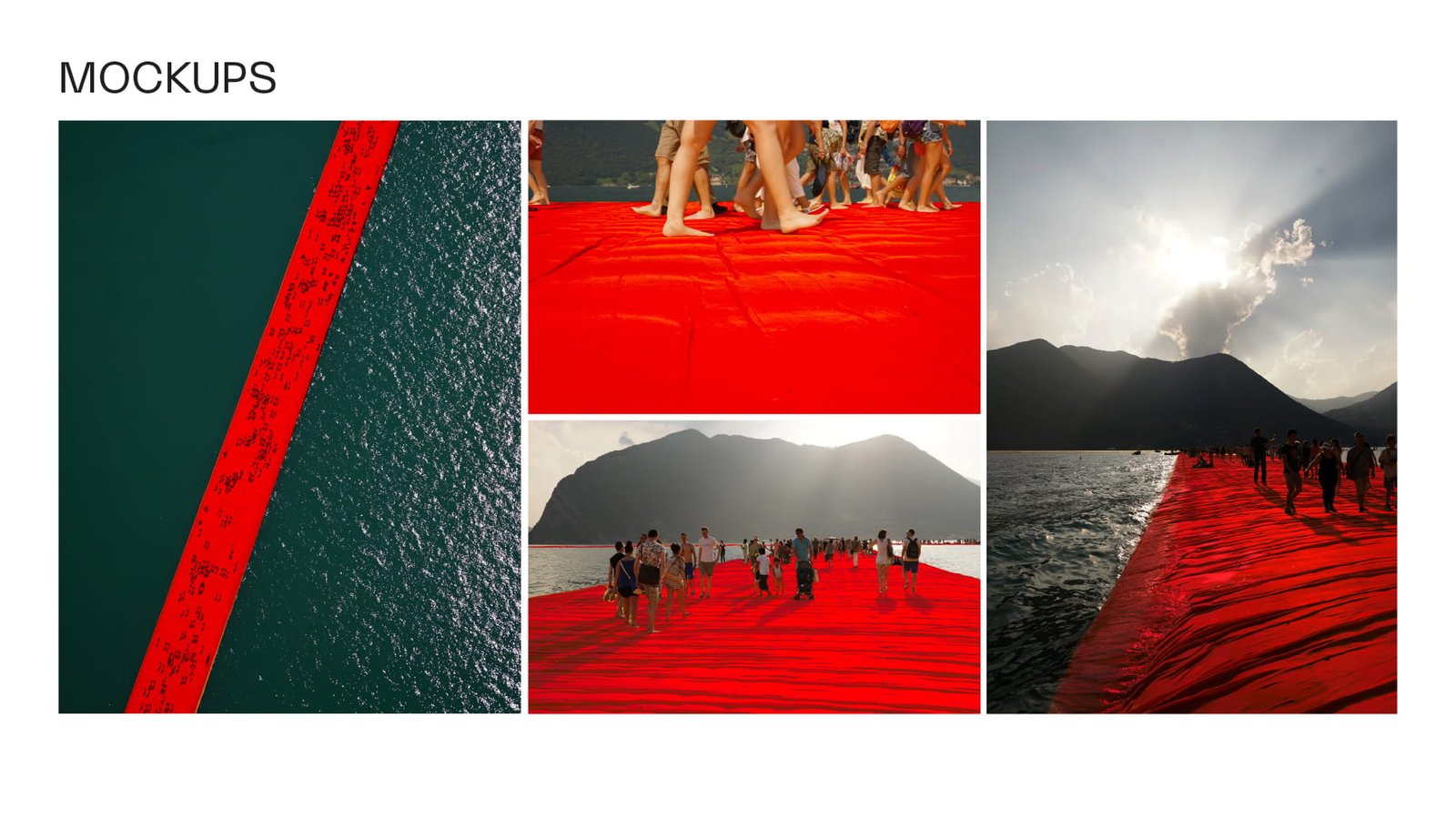 Tidal Trails work image 12