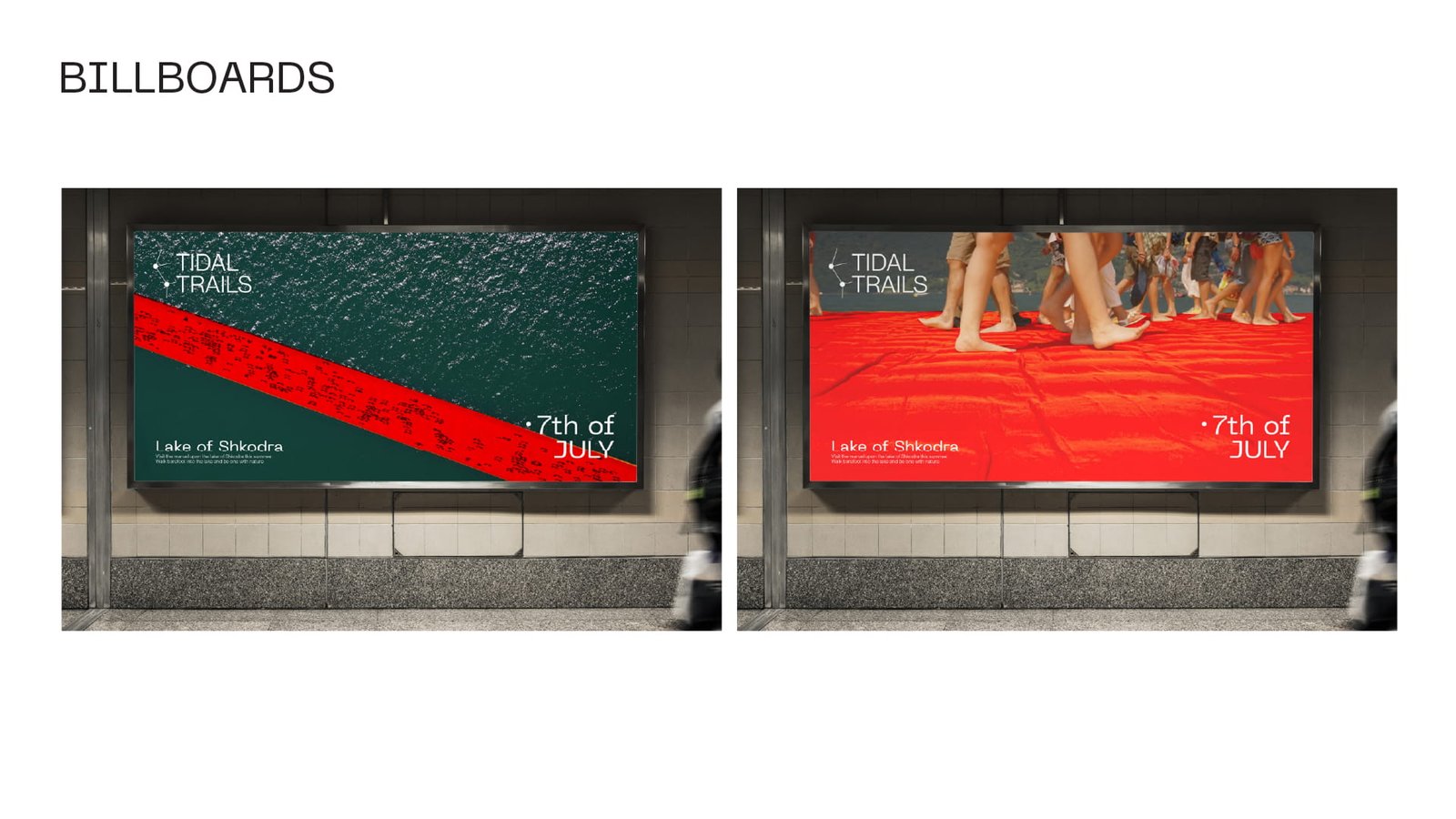 Tidal Trails work image 17